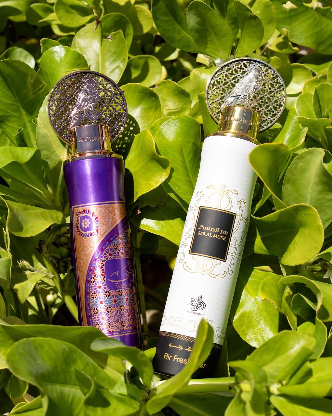 Luxury Fragrance Duo